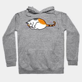 Comfy Calico Cat Hoodie